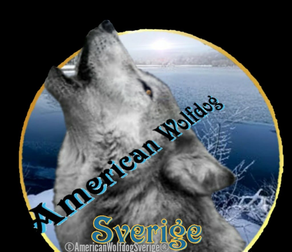 American Wolfdog Europe

